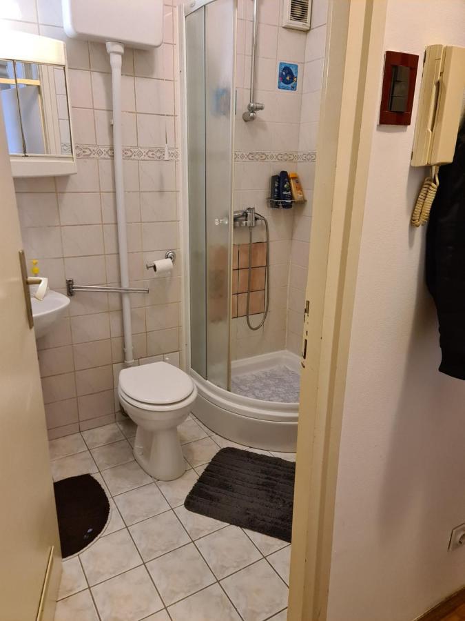 Apartman U Velikoj Gorici Zeljko Velika Gorica Eksteriør bilde